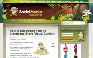 social media examiner
