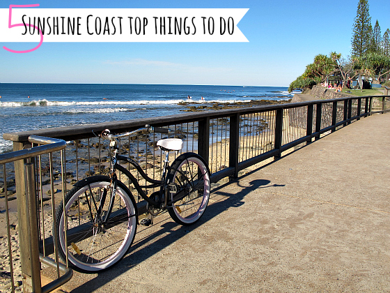 5 Sunshine Coast top things to do