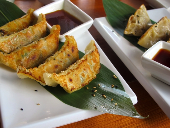 Pork gyoza, prawn gyoza | Sakana Sushi Bar, Mooloolaba, Queensland, Sunshine Coast