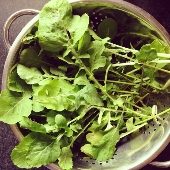 Fresh rocket from the garden