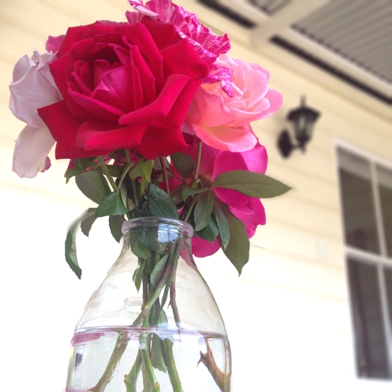 Fresh garden flowers