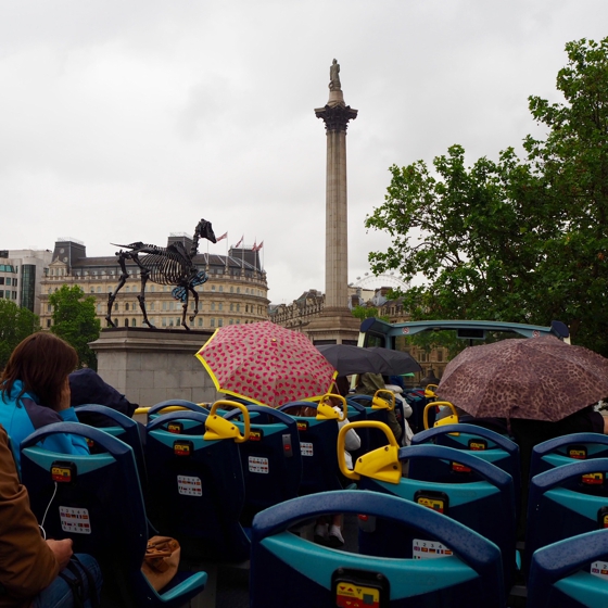 The Original Bus Tour, London, in the rain