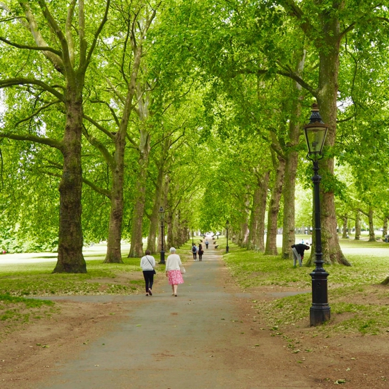 Green Park, London