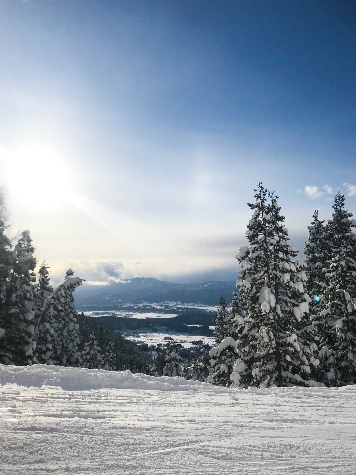 Cat track down the mountain from Paradise | Nozawa Onsen | Japan