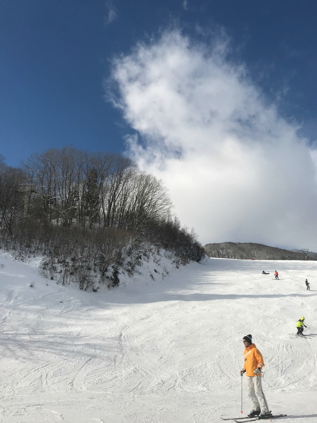 Iimori resort, Hakuba