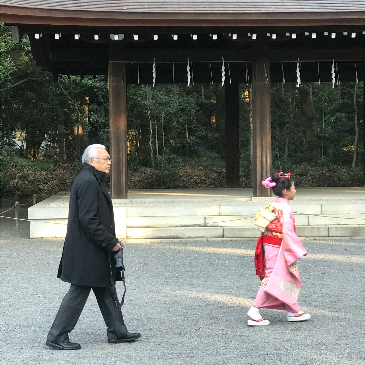 Meiji Shrine, Tokyo Japan