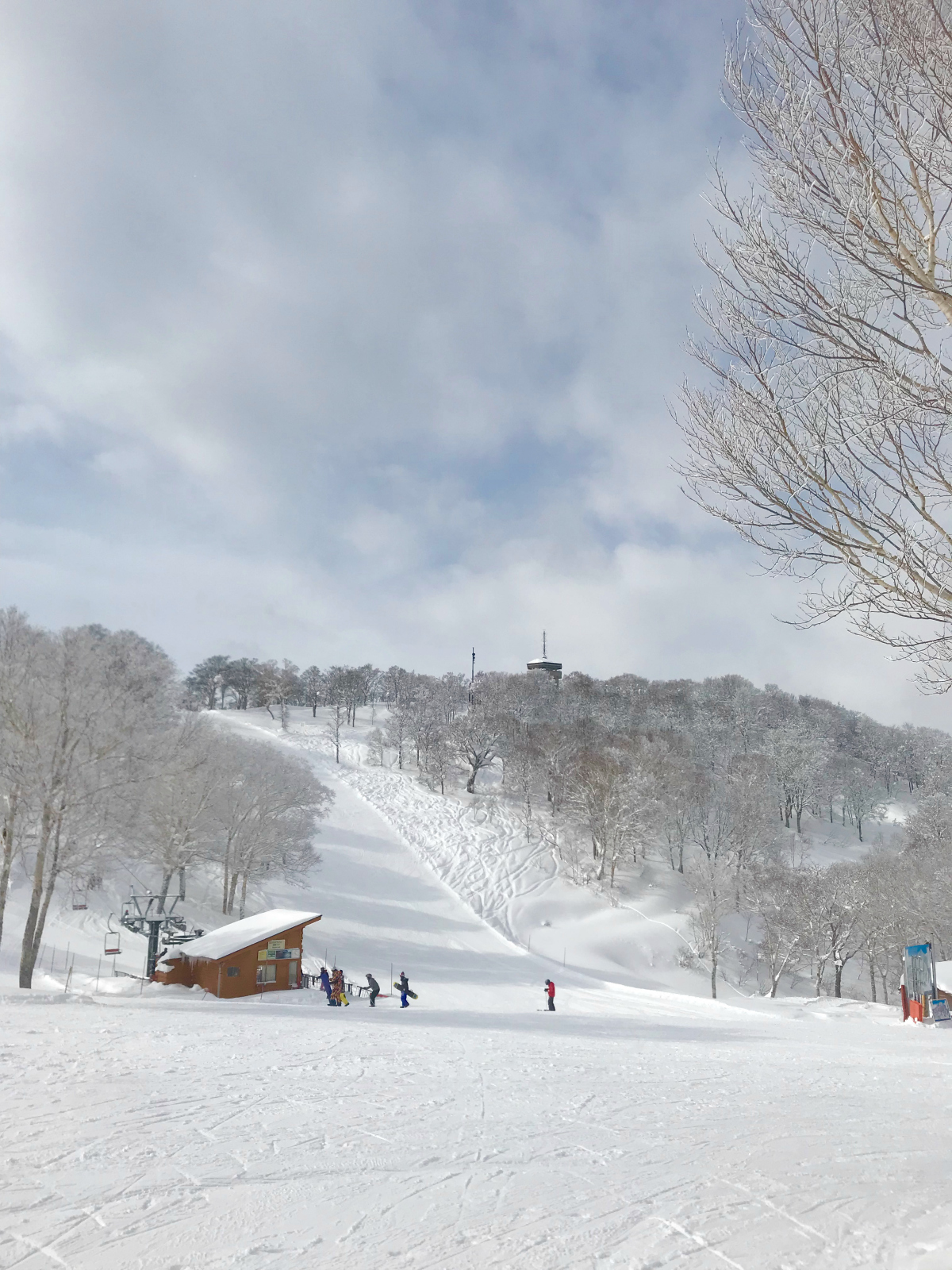 Sparena | Nozawa Onsen | Japan
