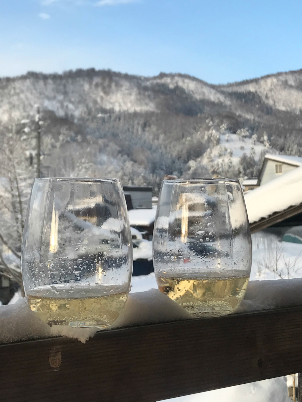 Tamanegi House | Nozawa Holidays | Sip Vino