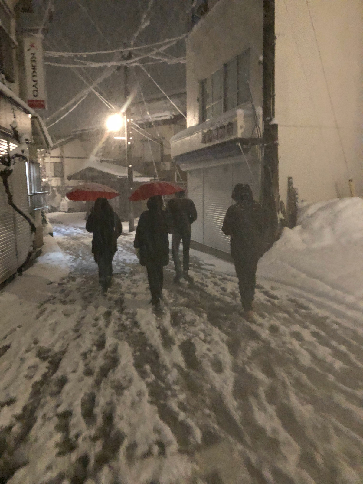 The Snow Monkeys | Japan