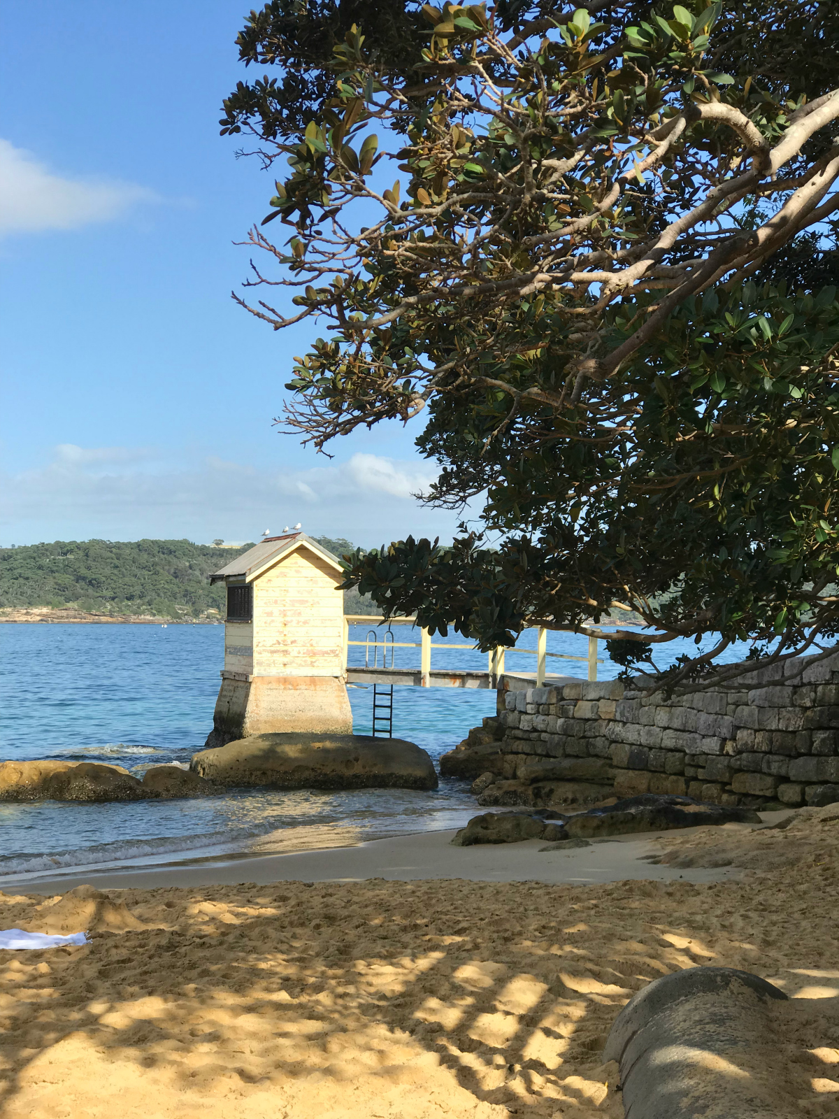Camp Cove, Sydney