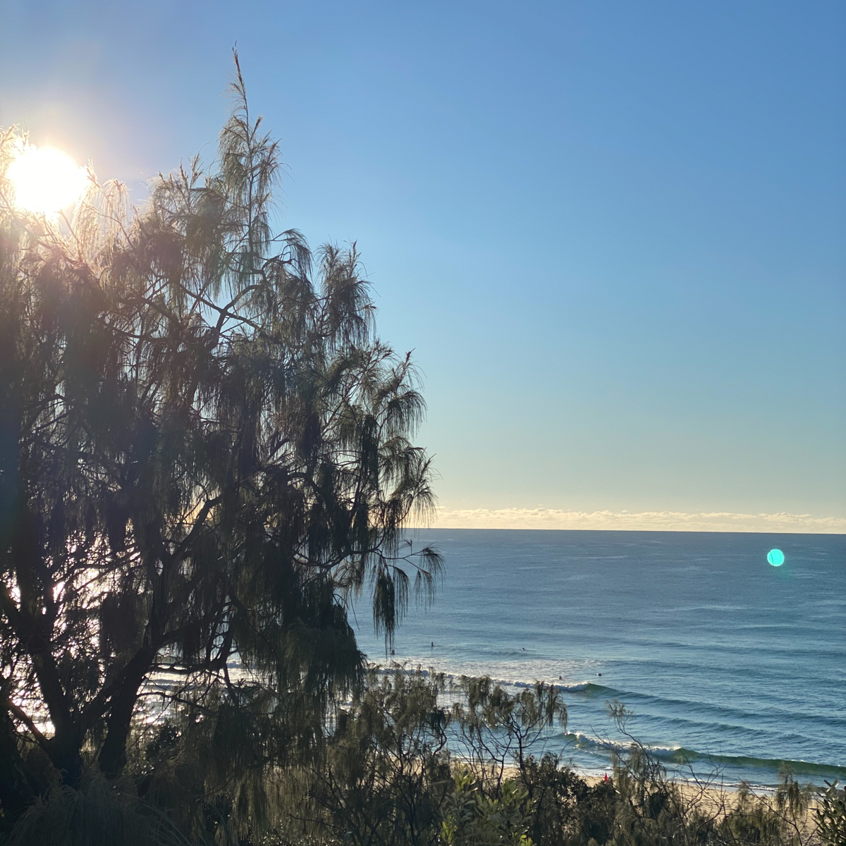 Sunshine Beach
