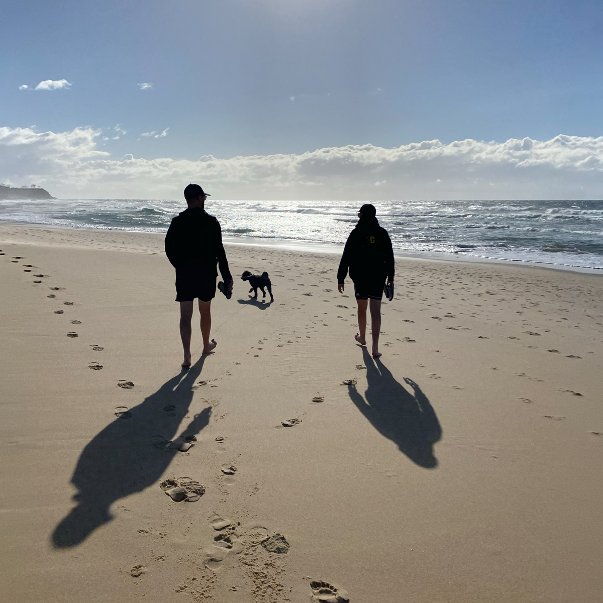 Sunshine Beach dog beach