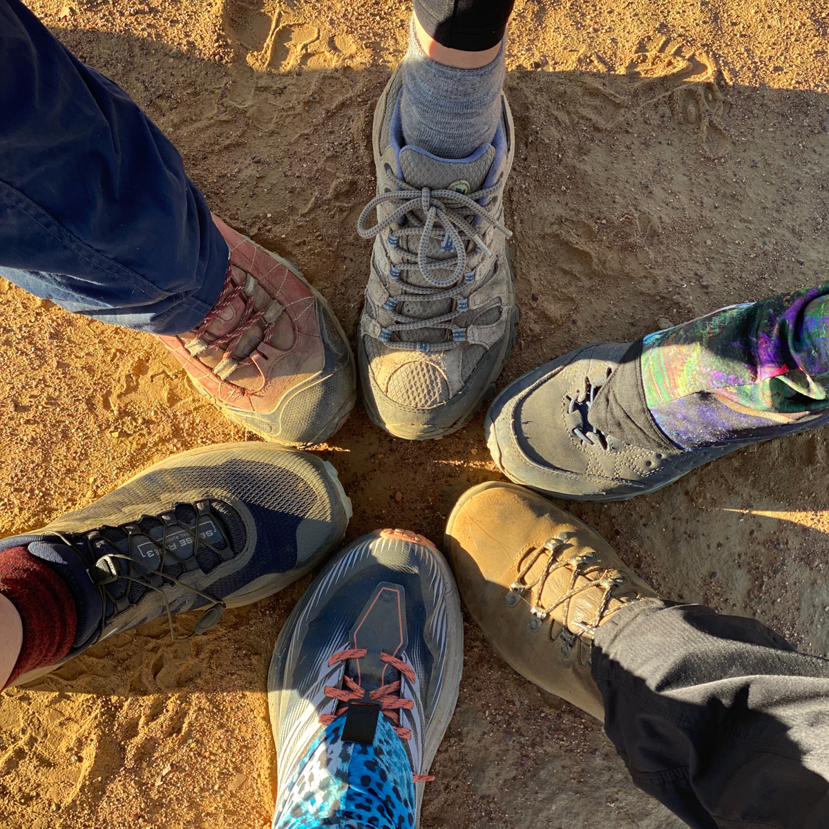 Hiking shoes