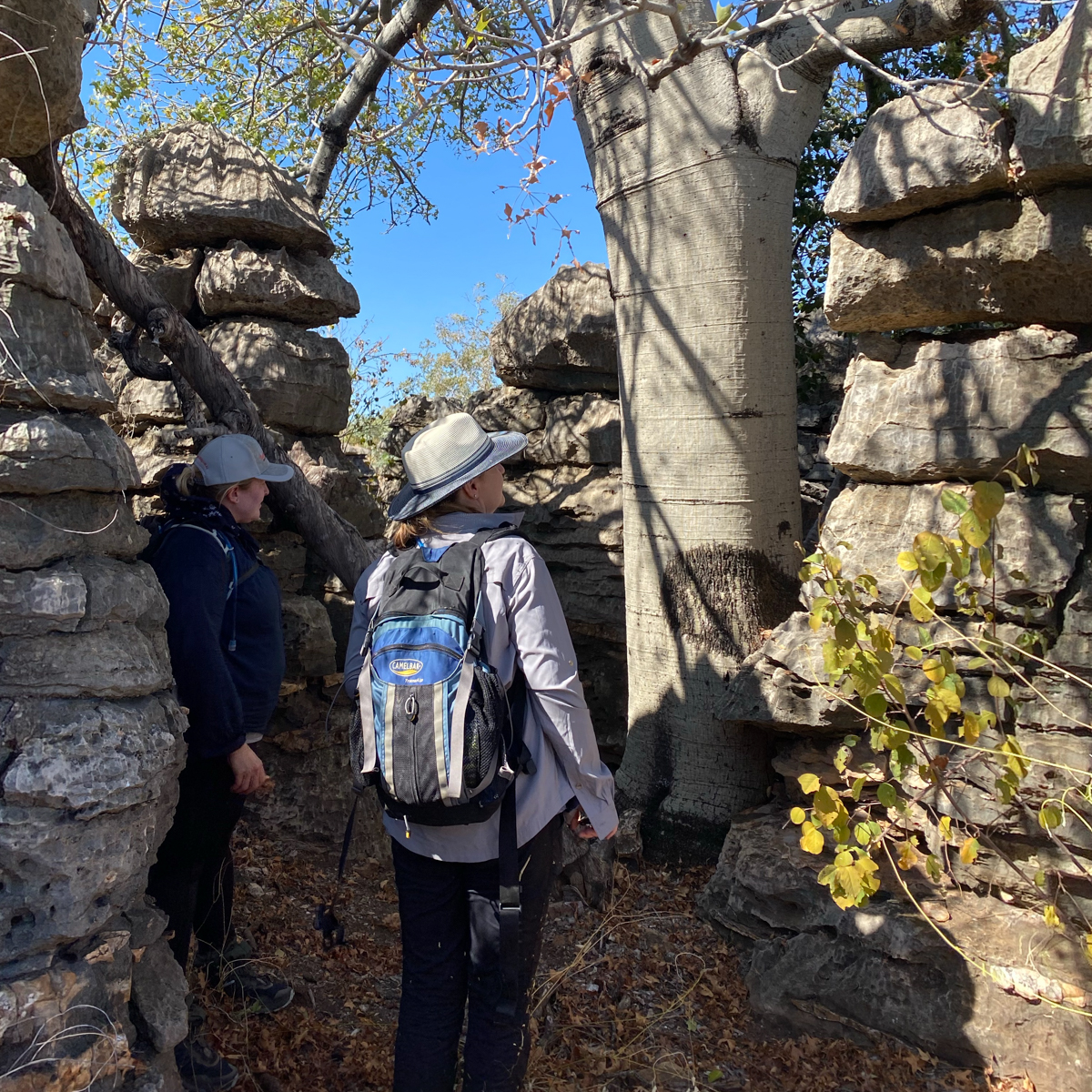 The Lost City rock formations from 530 million years ago Lawn Hill Boodjamulla National Park