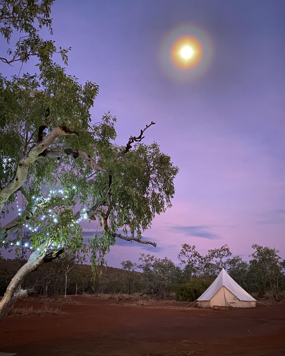 Stock Camp Herbertvale Station